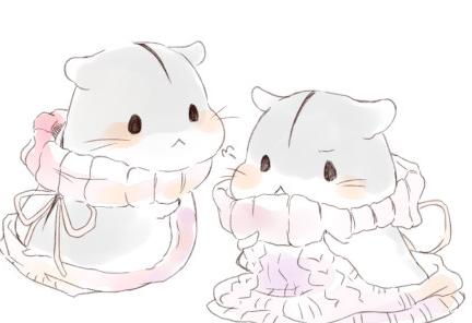 人类的本质是仓鼠是什么梗