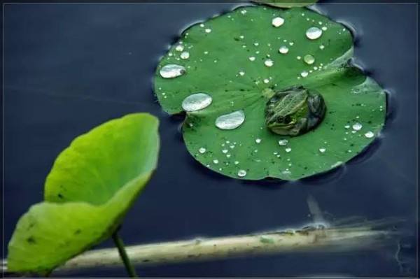 小雨滴历险记的胎教故事1