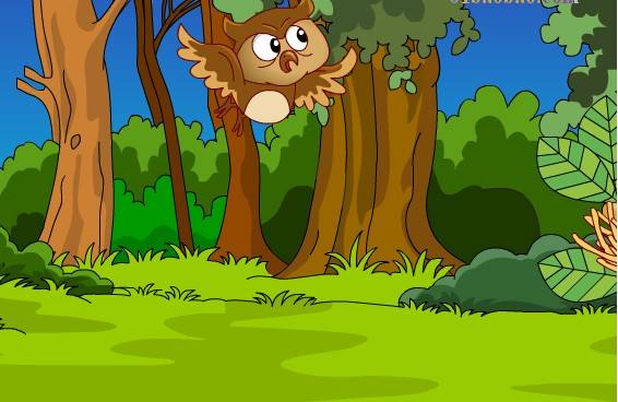 小心谨慎的鸟医生的寓言故事2